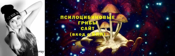 гашик Алзамай