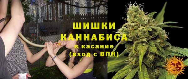 гашик Алзамай