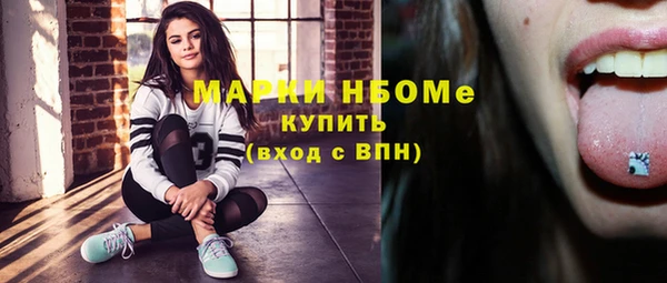 гашик Алзамай