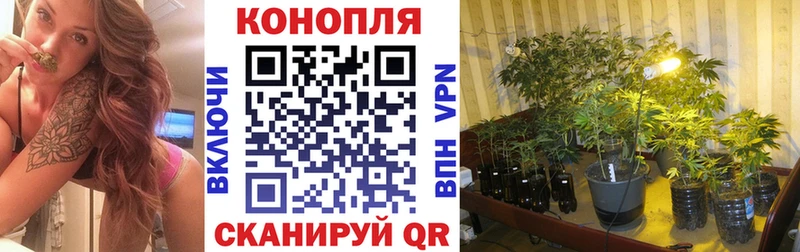 дарнет шоп Нововоронеж Канабис марихуана